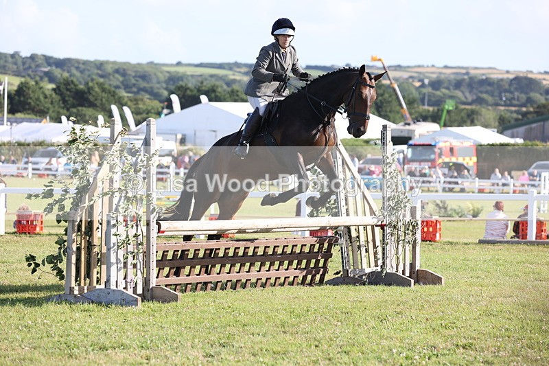 JPP_3115 - Class 21: Working Hunter 80cm