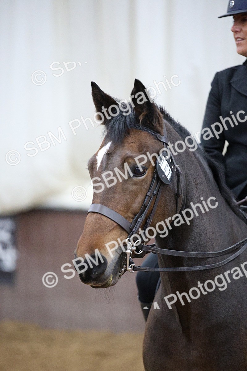 5K7A6116 - Class 48 - Ridden Mare