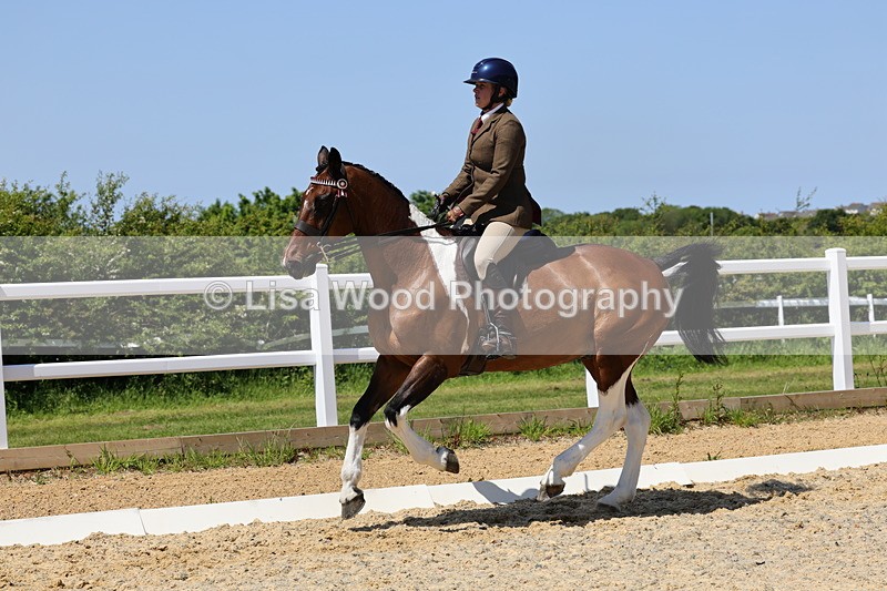 1X9A1892 - Class 12: Ridden Riding Horse/Hack