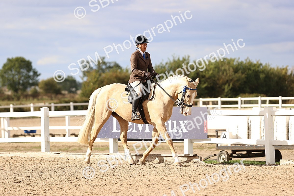 SBM_18154 - Class 423 - Equitation (best rider) Adult