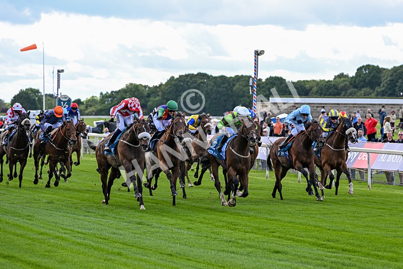 120626-Race 1-Our Havana-6597 - Race 1 13.50pm Andy Thornton Hospitality Furniture Apprentice Handicap