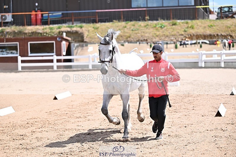 250716-124937-00187 - Trot Up 12.30 to 1.30