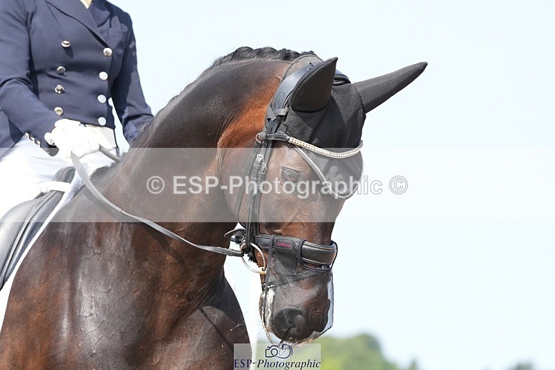 250815-115408-01001 - 011-Tess.WilsonHyatt