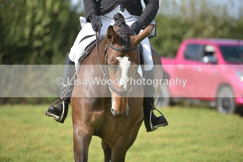 RAY_8011 - Class 2B: Trekenning Open: Dressage