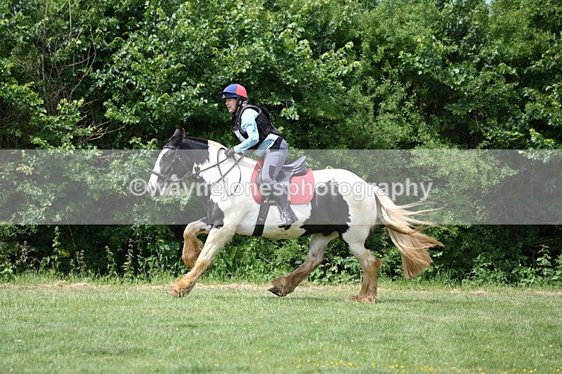 WJ6_3506 - Class 4 60cm