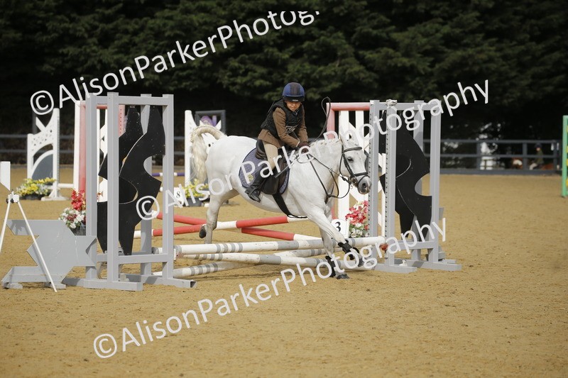 20250622-1446 - 40cm