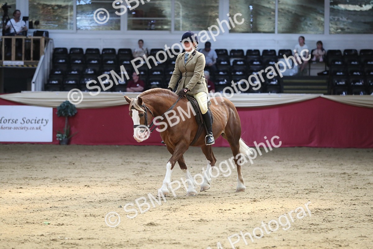 SBM_08328 - Class 11R Regional Ridden Veteran