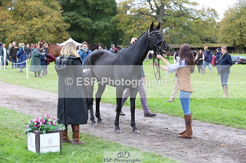 251026A-105748-23406 - G-505-Sarah.Amos