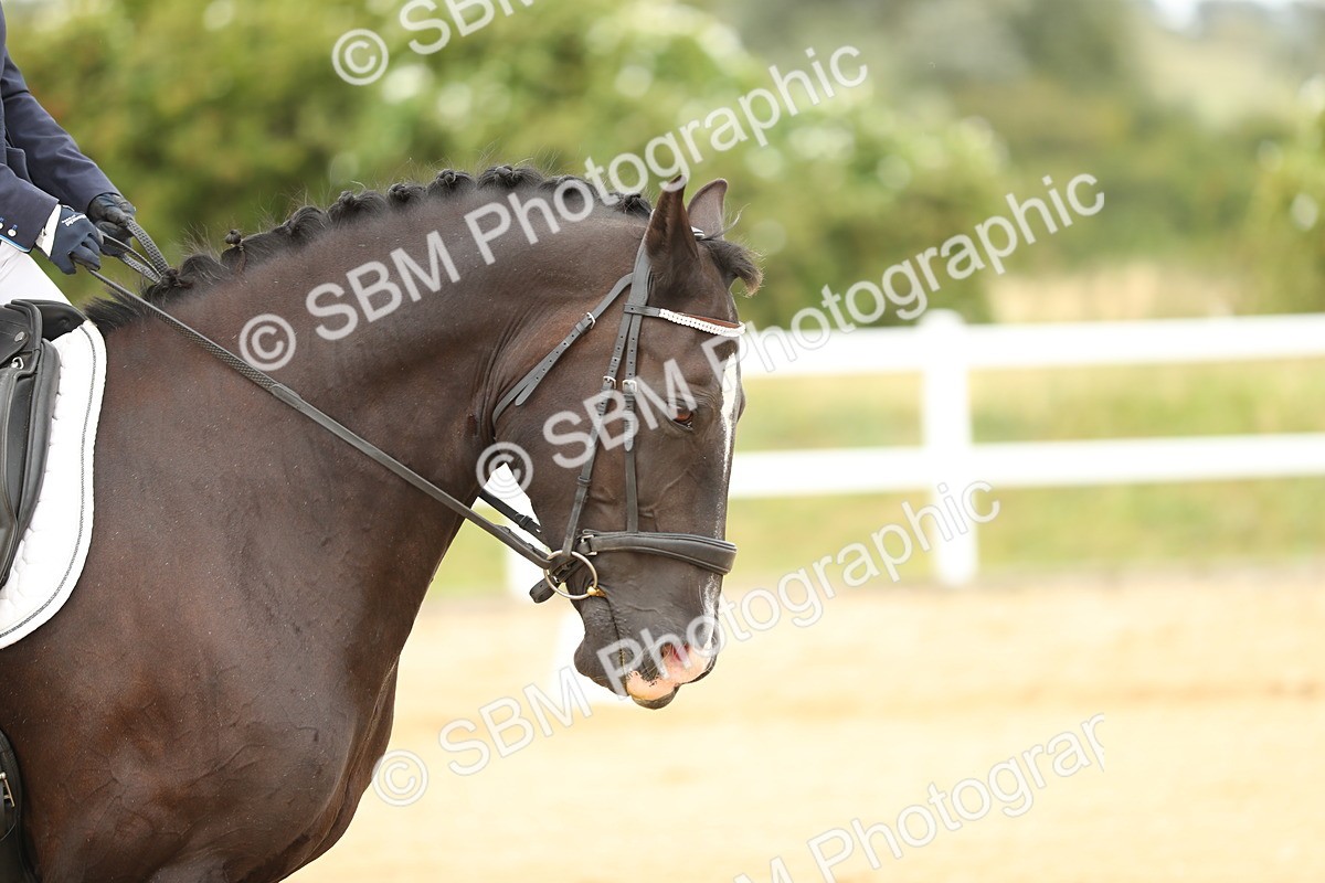 SBM_017736 - Class 14 - Novice 23 - 13.52-14.55