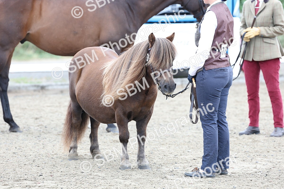 SBM_00073 - Class 50 - Best Turned Out IH