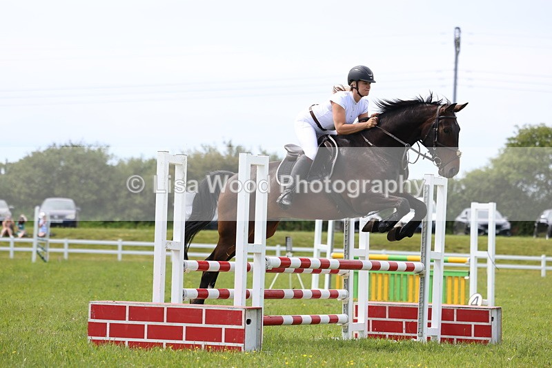 3E7A1470 - Class 13: Senior British Novice/90cm open