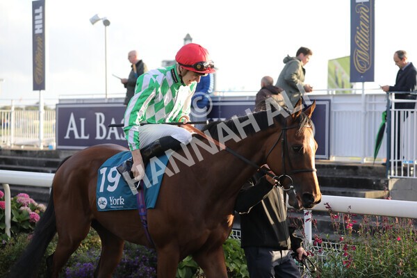 yr07102022r7-10 - Race 7 5.35pm IRE Incentive, It Pays To Buy Irish Stakes