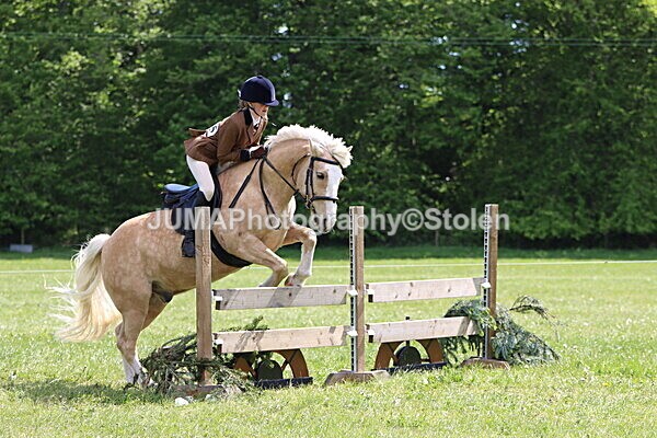 IMG_4266 - Working Hunter
