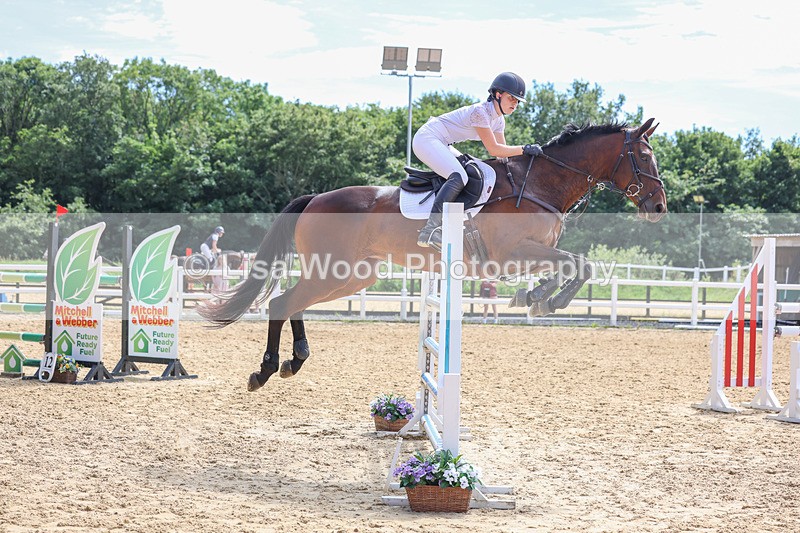 3E7A7525 - Class 9: Senior Foxhunter/1.20 open