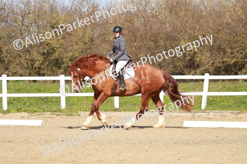 20260314-2844 - DR3 - Prelim 1