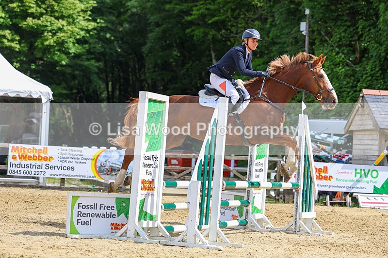 3E7A8773 - Class 4: Senior British Novice/90cm open