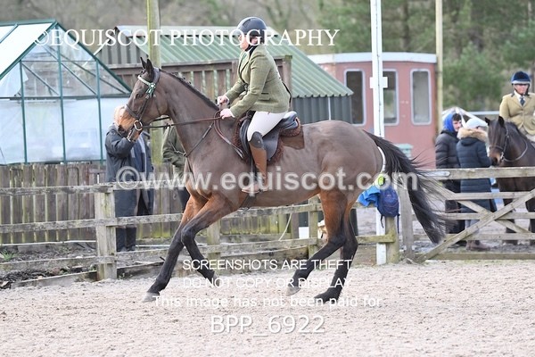 BPP_6922 - RING 1  (RIDDEN HORSES / IN HAND / VETERAN ETC)