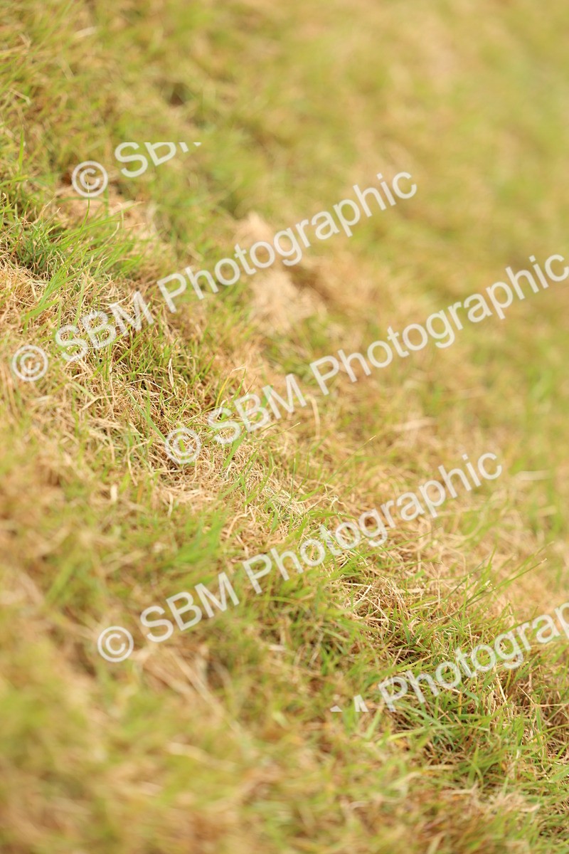 SBM_03600 - Class 58-67 - M&M Non Welsh Pony In hand