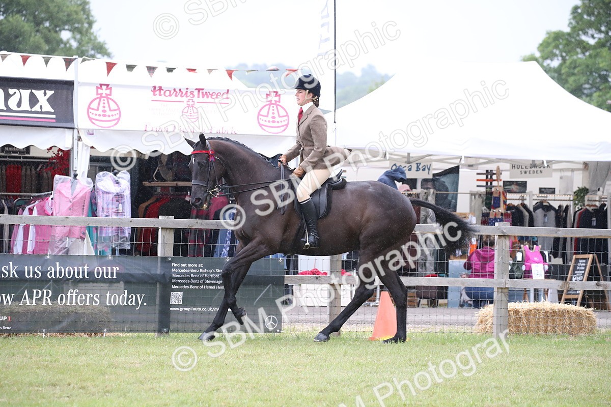SBM_11446 - Class 94 - LIHS BSHA Racehorse to Showhorse