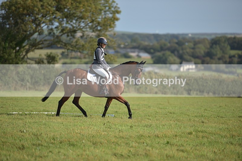 RAY_7542 - Class 2B: Trekenning Open: Dressage