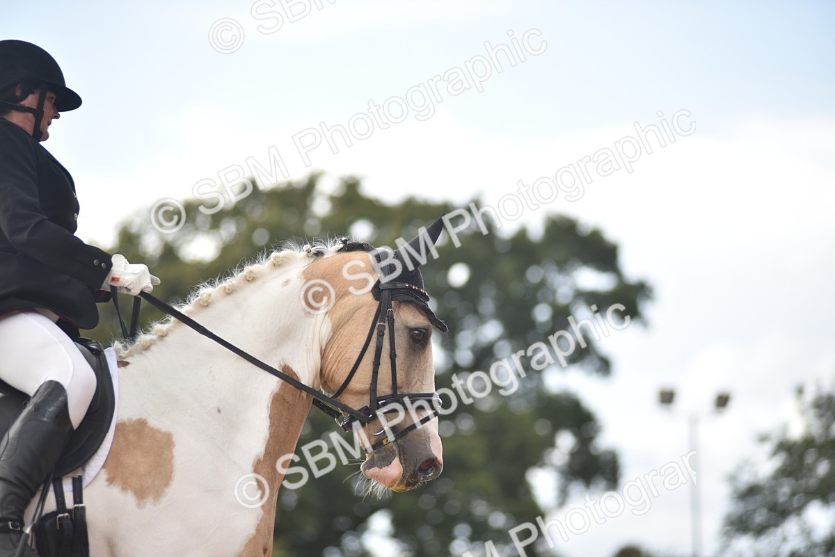 SBM_29639 - D16 -Small Tour Championship Novice 2
