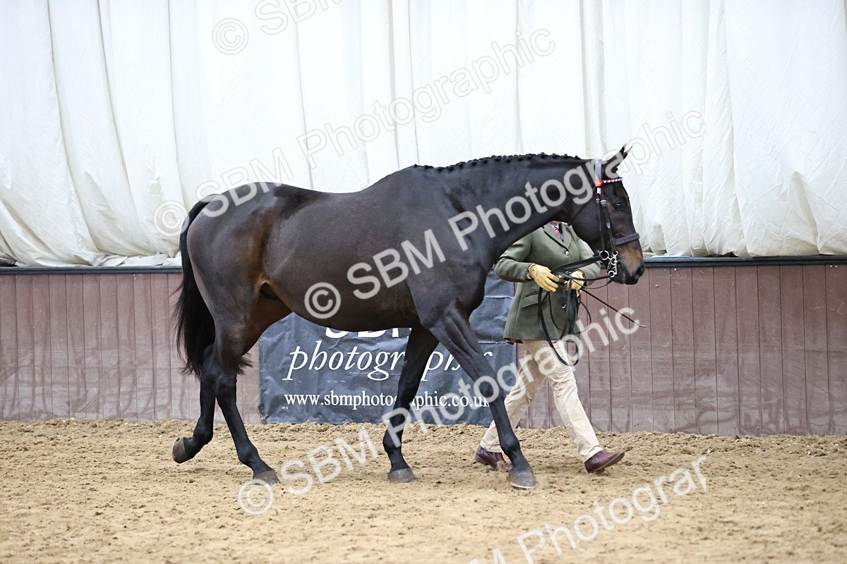 SBM_5821 - Class 4 - ROR Open In Hand