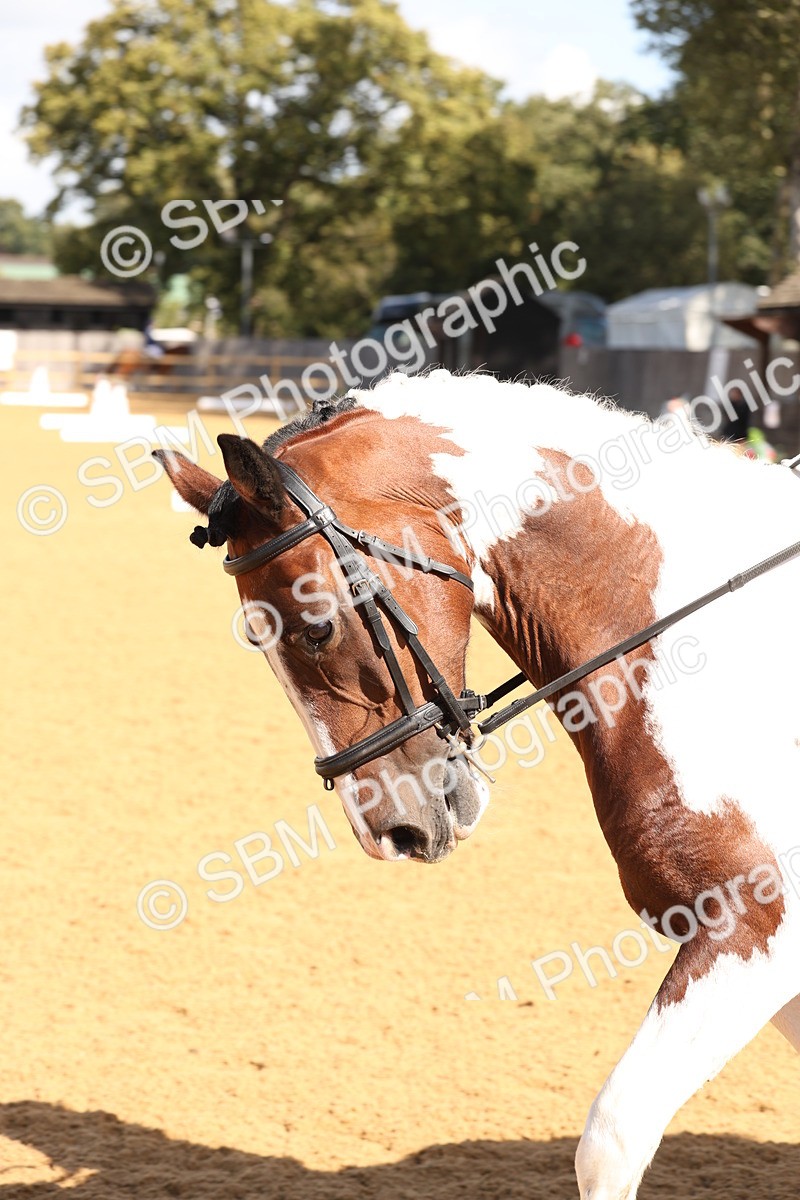 SBM_02505 - D10 - Small Tour Championship Prelim 2