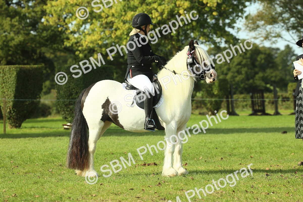 SBM_59945 - S38 - Starters Ridden Showing