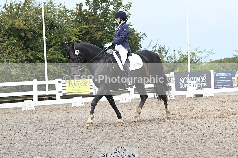 250907-113653-06719 - 030-Rebecca.Ezra.-.HamMaesmynach.Mr.Sam