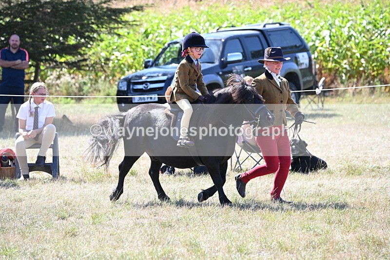 WJ6_8082 - Class 36 Lead Rein