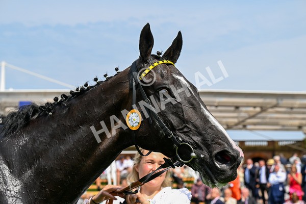 260725-Race 3-Royal Champion-0577 - Race 3 2.40pm Sky Bet York Stakes
