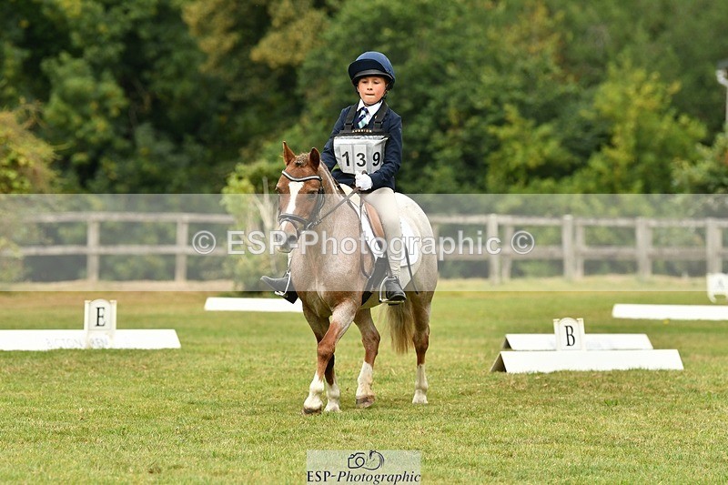 250820A-111919-05008 - 11am to 12