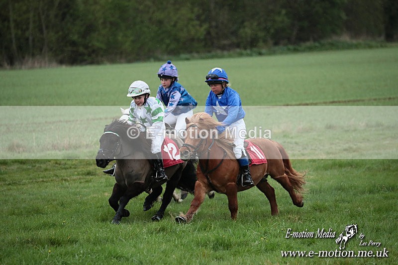 SHETPR 210425 187 - Shetland Ponies Paxford Races 21/04/25