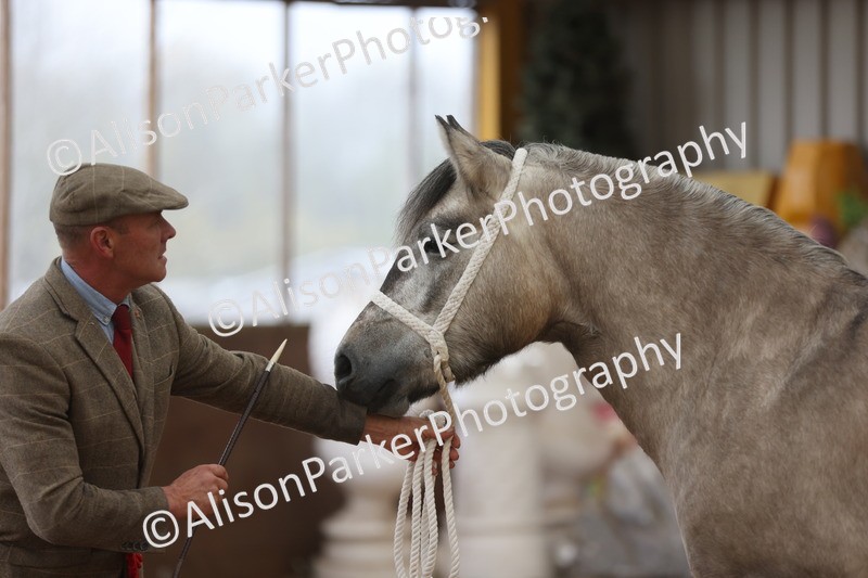 20251109-0971 - Class 26 - 2 and 4 Year Olds