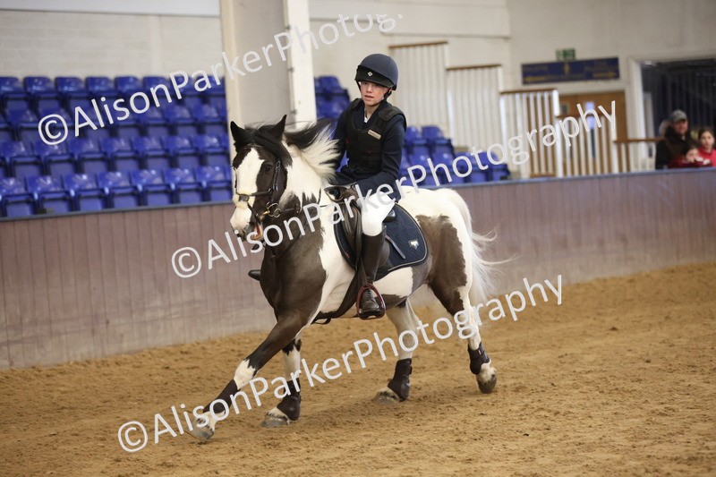 20260314-0495 - 60cm