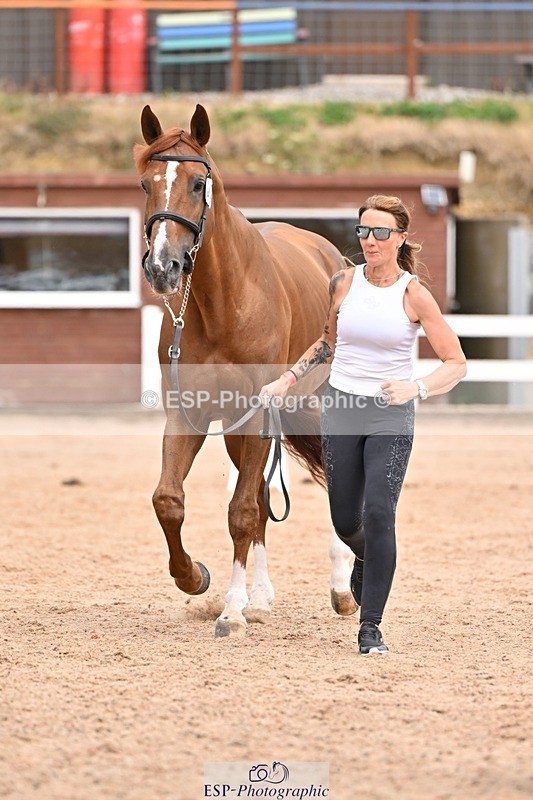 250716-153250-01998 - Trot Up 3.30 to 4.30