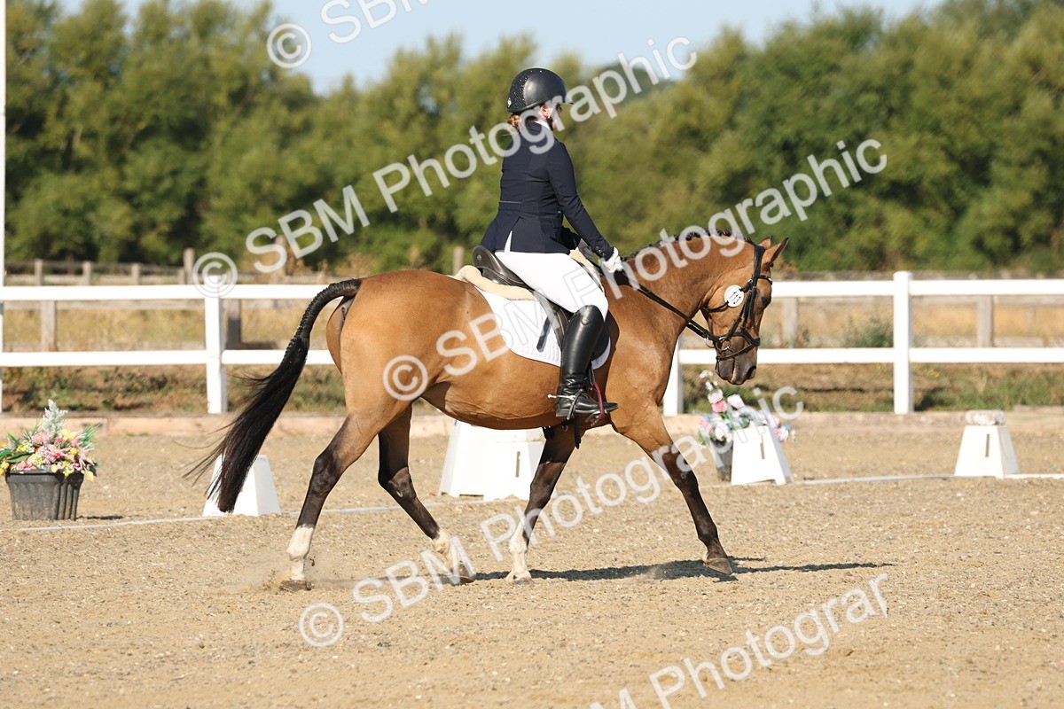 SBM_012605 - Class 1 - P5 Bronze 9.00.10.12