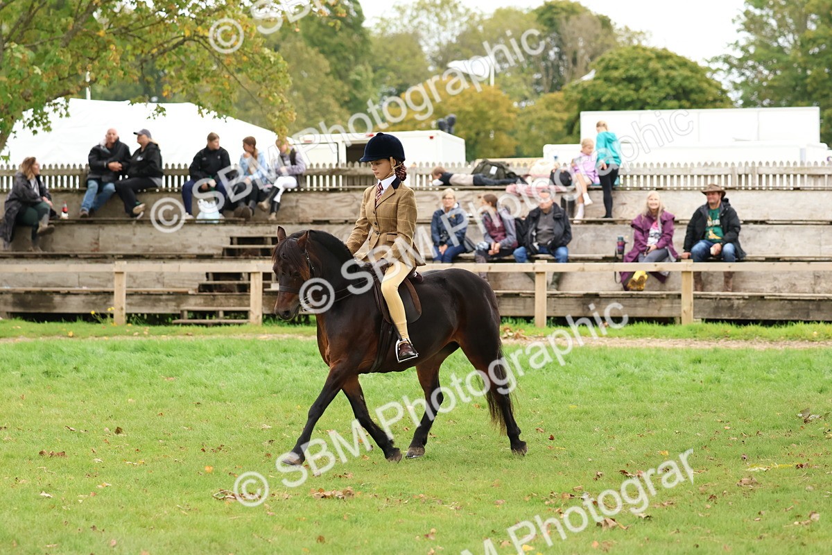 SBM_67428 - S61 - Mountain & Moorland Ridden