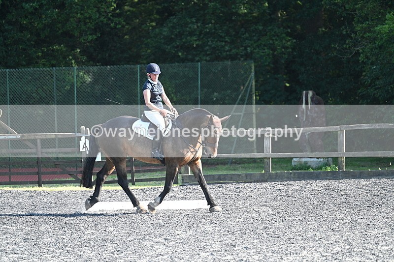 WJ7_8602 - Time 17:15 to 17:39