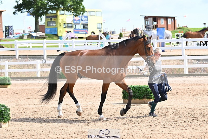 240717A-155232-03127 - Trot Up 3pm to 4pm