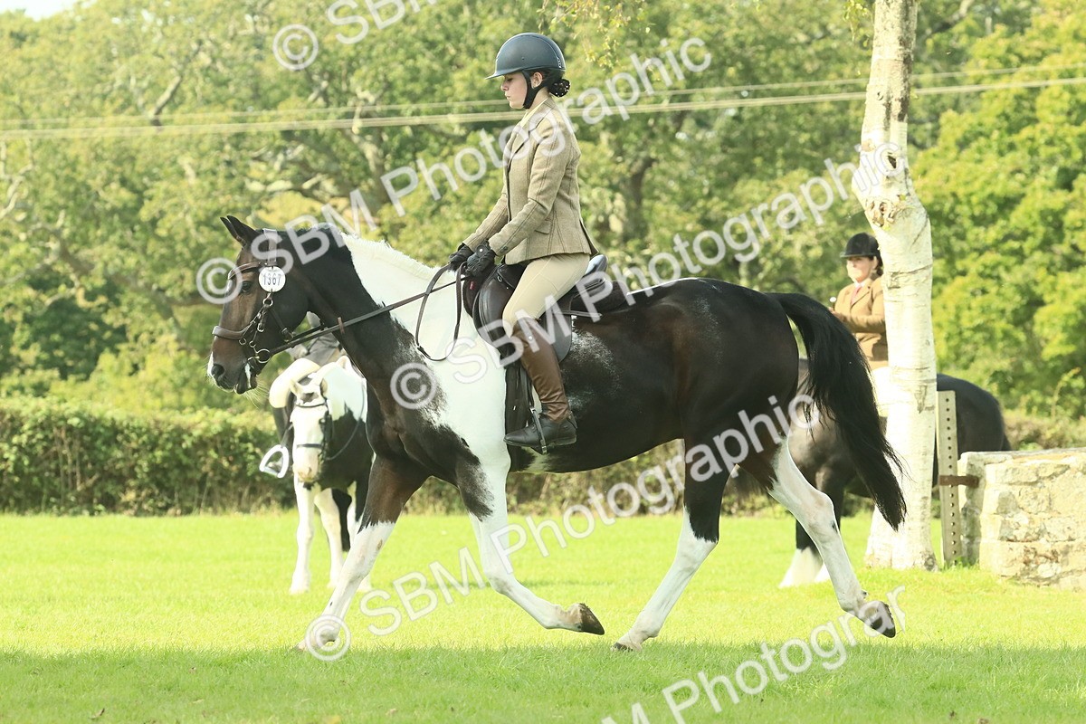 SBM_66528 - S34 - Rehabilitated Rescue Horse & Pony In Hand & Ridden