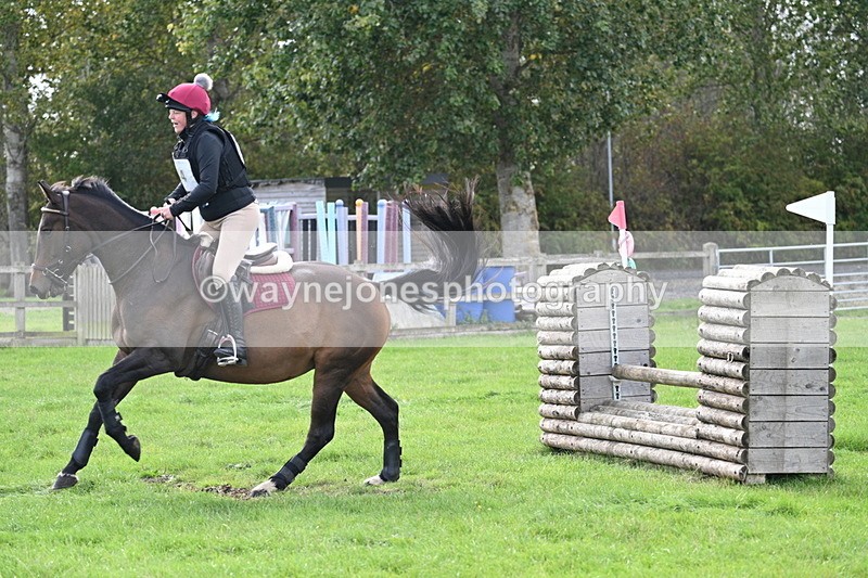 WJ7_8377 - 60cm Pairs