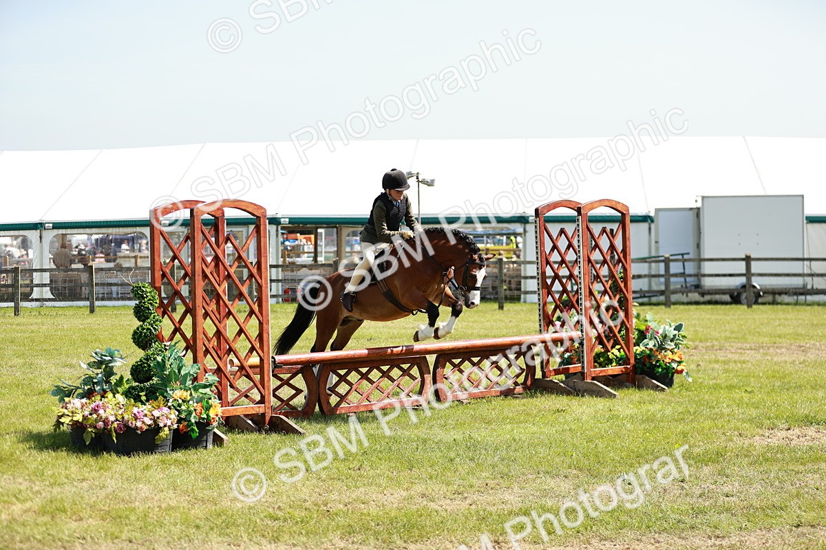SBM_13561 - Class 108-109 - BSPS LIHS Open Gradle & Nursery Stakes