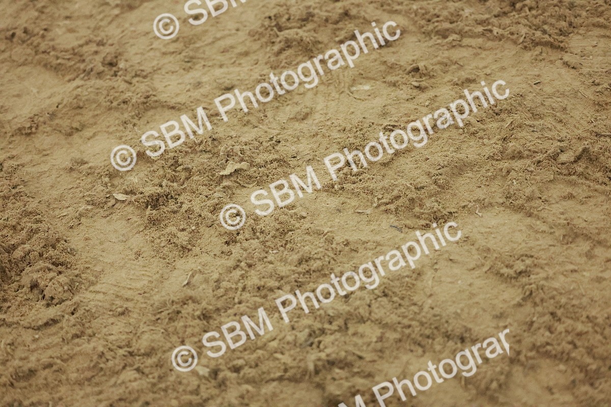 SBM_005004 - Class 6 - Chase Me Charlie