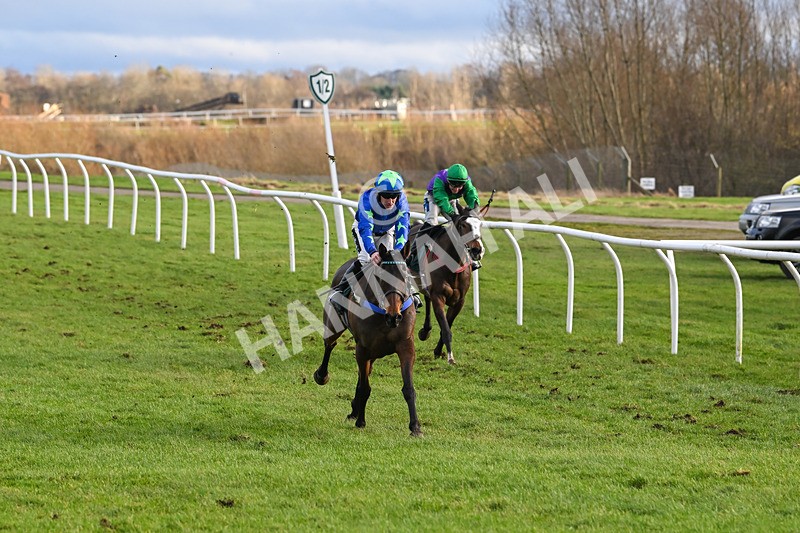 020224-Race 5-Shighness-8518 - Race 5