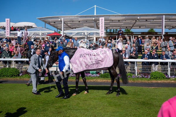 160525-Race 4-Rebels Romance-6475 - Race 4 3.45pm Boodles Yorkshire Cup Stakes