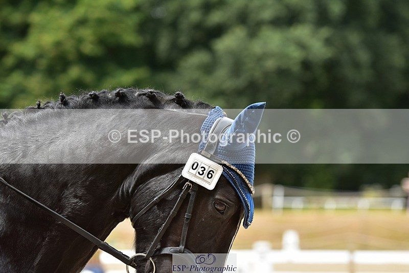 250719A-122812-05597 - 036-Lorna.Birch-Dizzy.Rascall