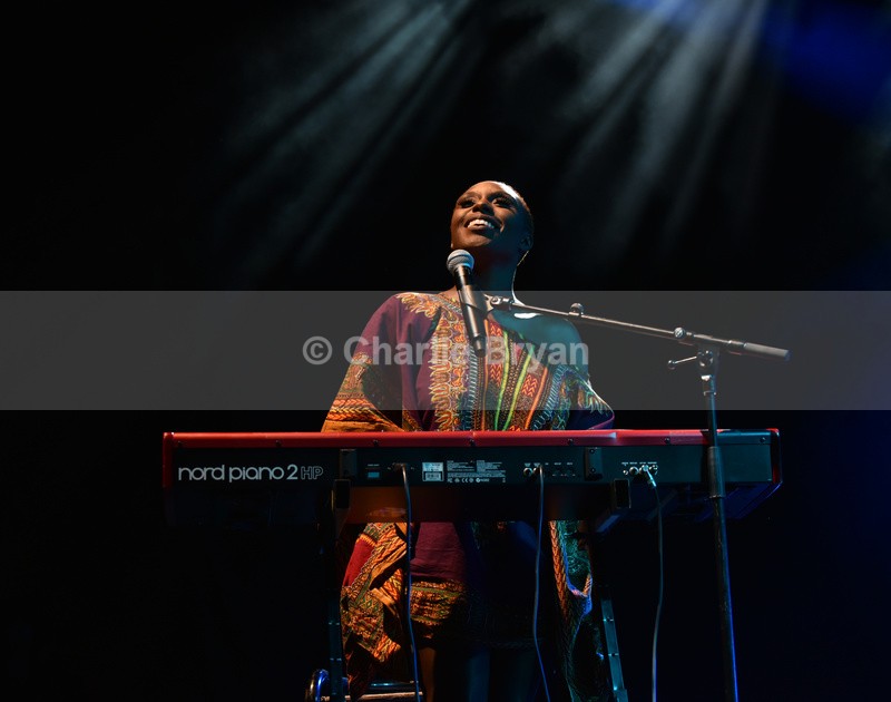 Womad 2015