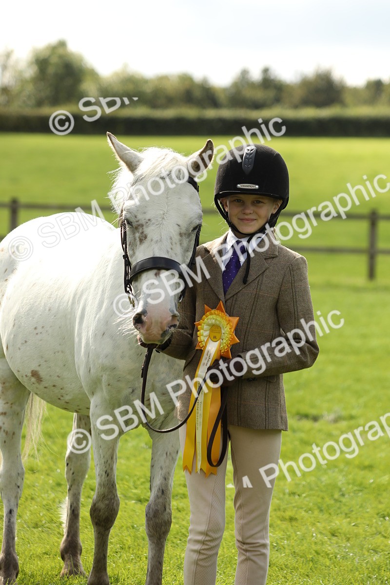SBM_62880 - S46 - Mountain & Moorland In Hand Small Breeds