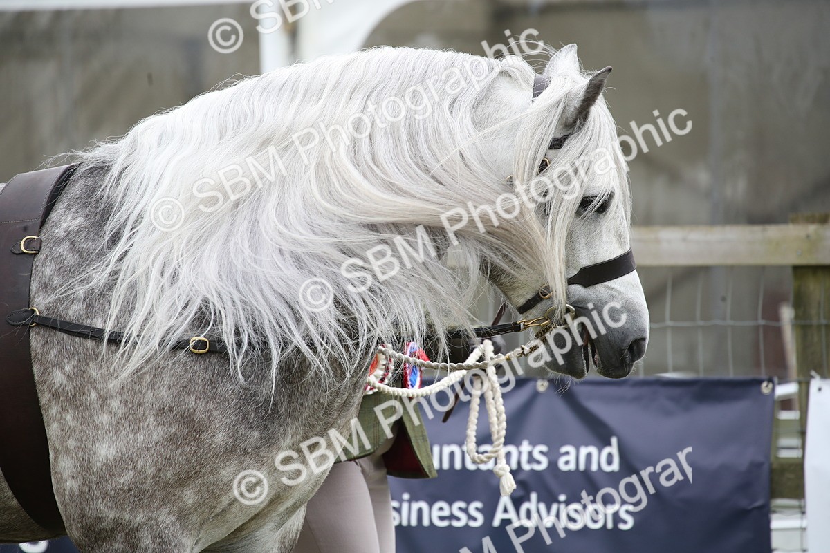 SBM_09707